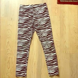 Zebra Leggings!